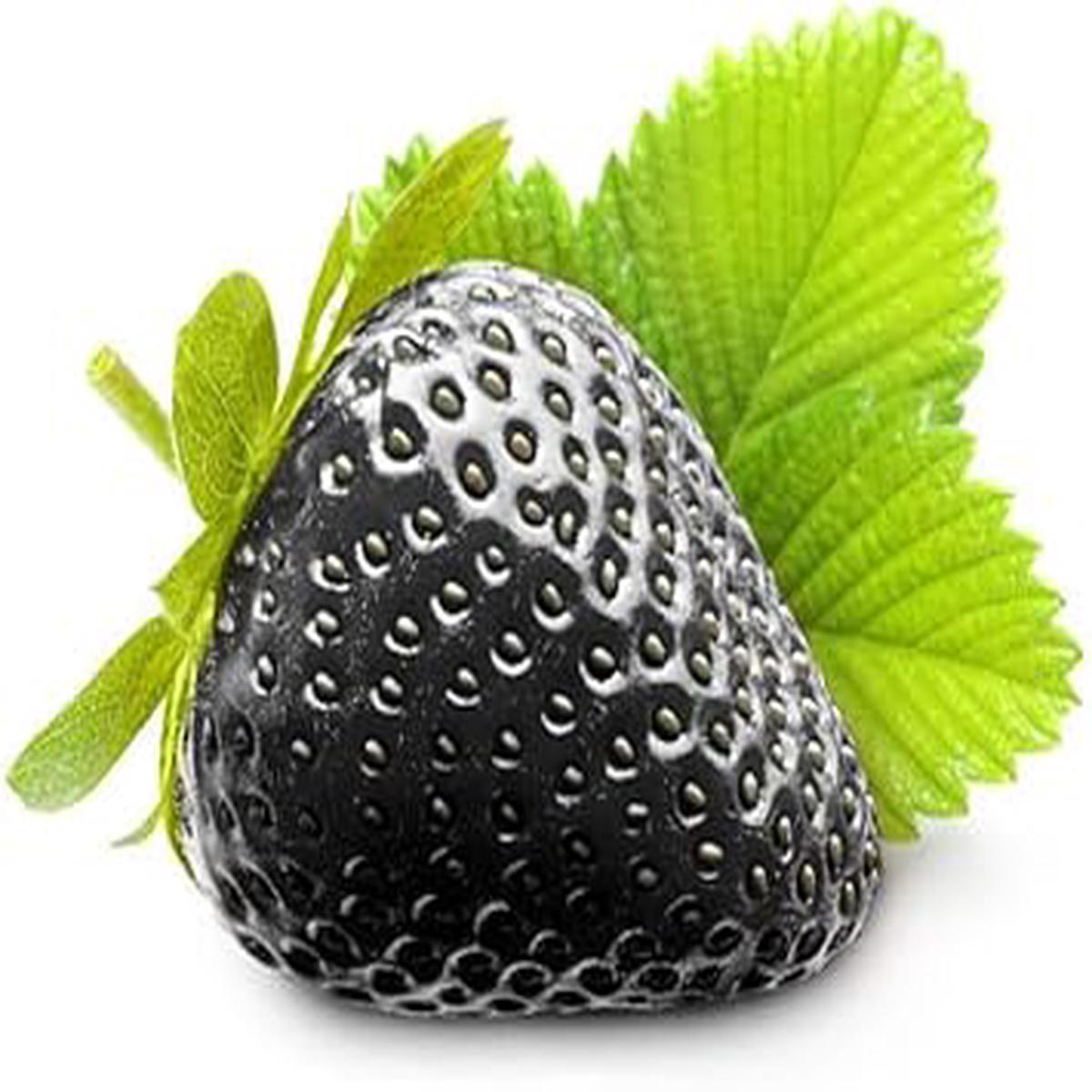 Black Strawberry Fruit Seeds for Planting  Heirloom, Non-GMO, High Germination Organic Garden Seeds for Sweet, Flavorful Strawberries