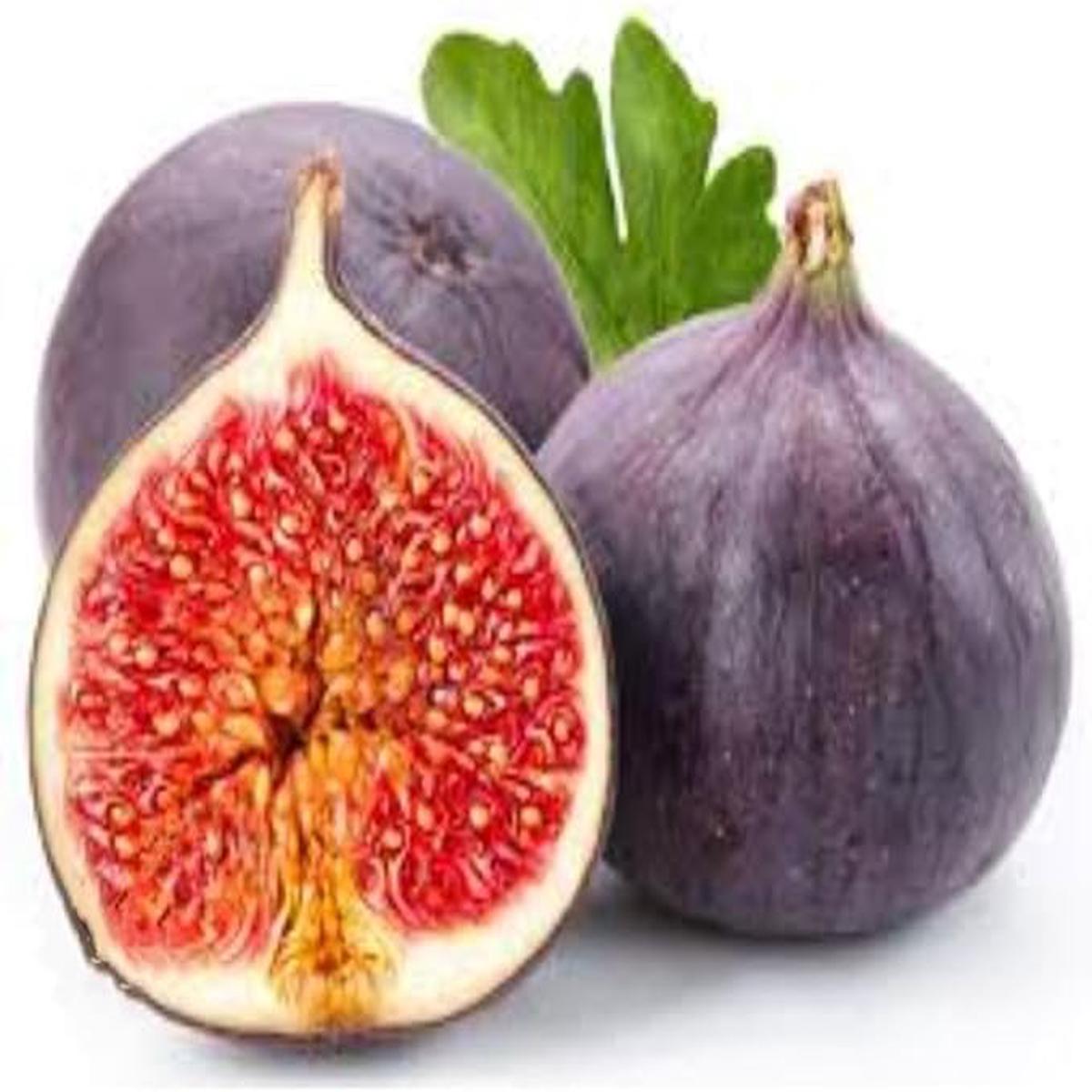 Fig Tree Seeds  Black Sweet Fruit Shrub & Bonsai, Grow Mediterranean Figs, Heirloom & Non-GMO Seeds