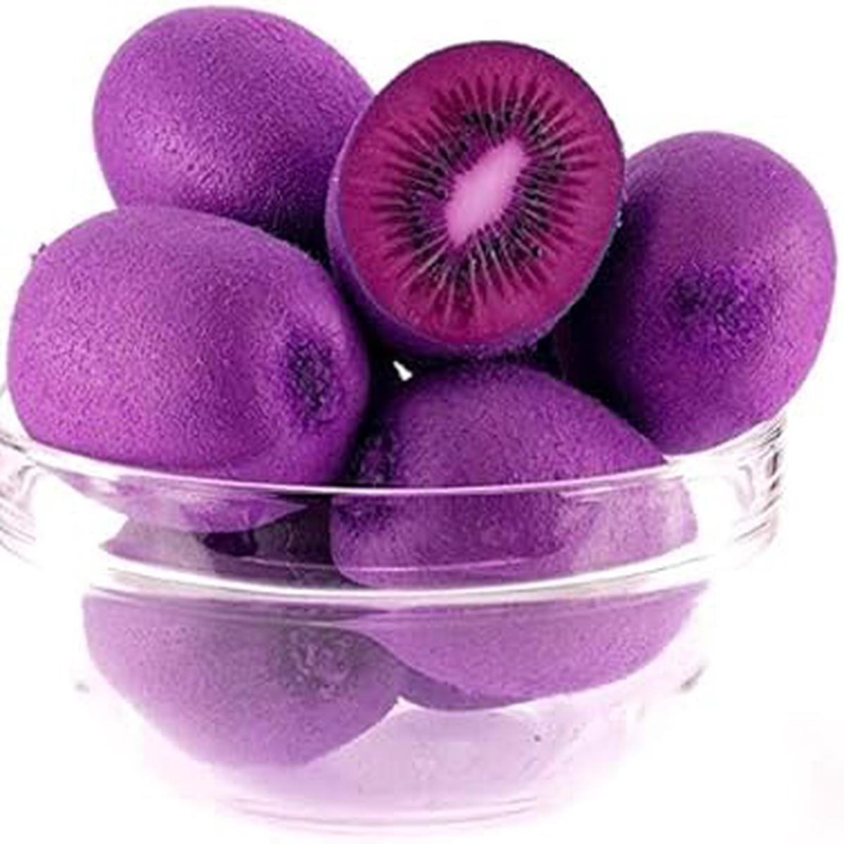 Fresh Violet Kiwi Fruit Seeds for Planting  Premium, Heirloom, Non-GMO, High Germination Organic Garden Seeds