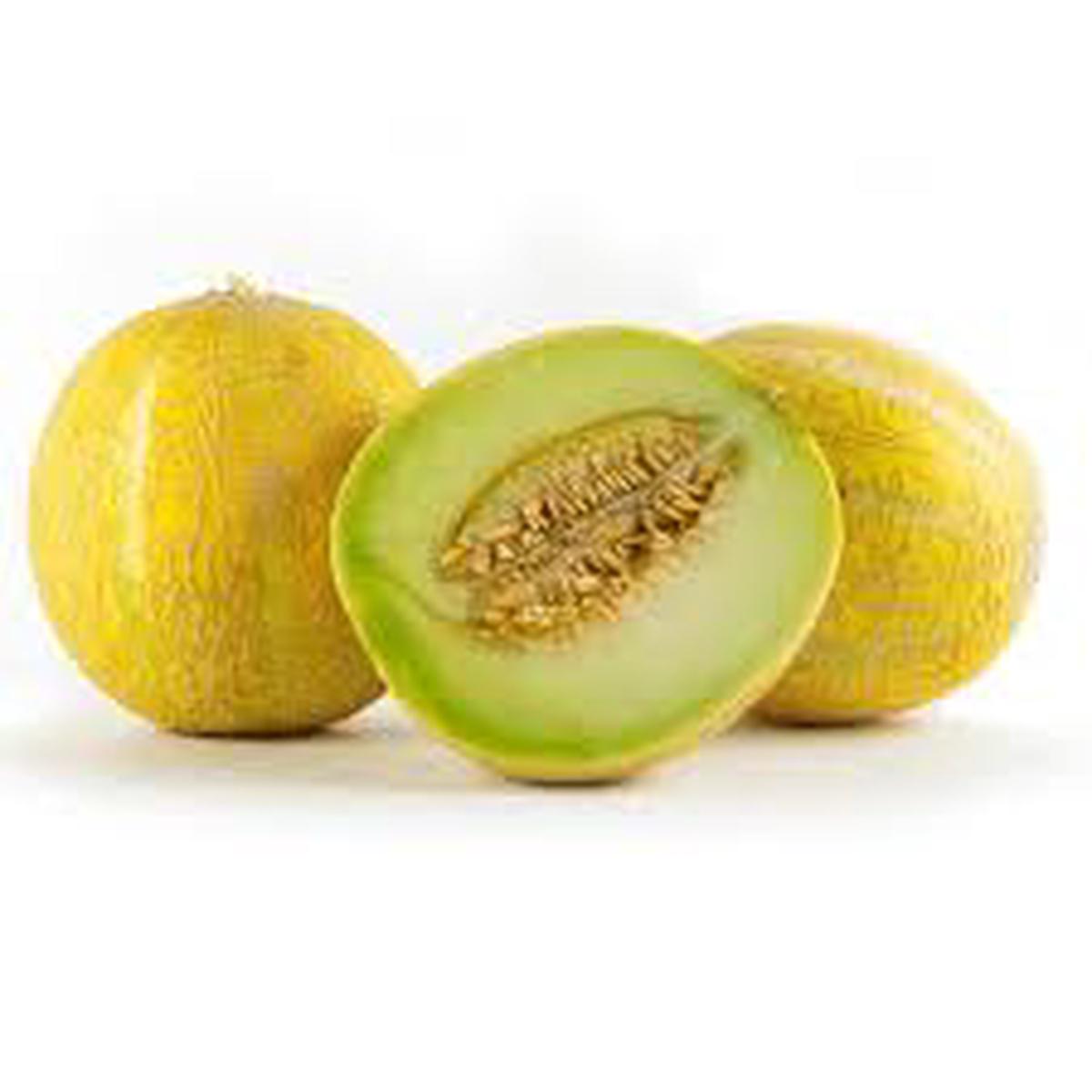 Lemon Drop Melon Seeds for Planting  Sweet, Citrusy Heirloom Non-GMO Seeds for Your Garden
