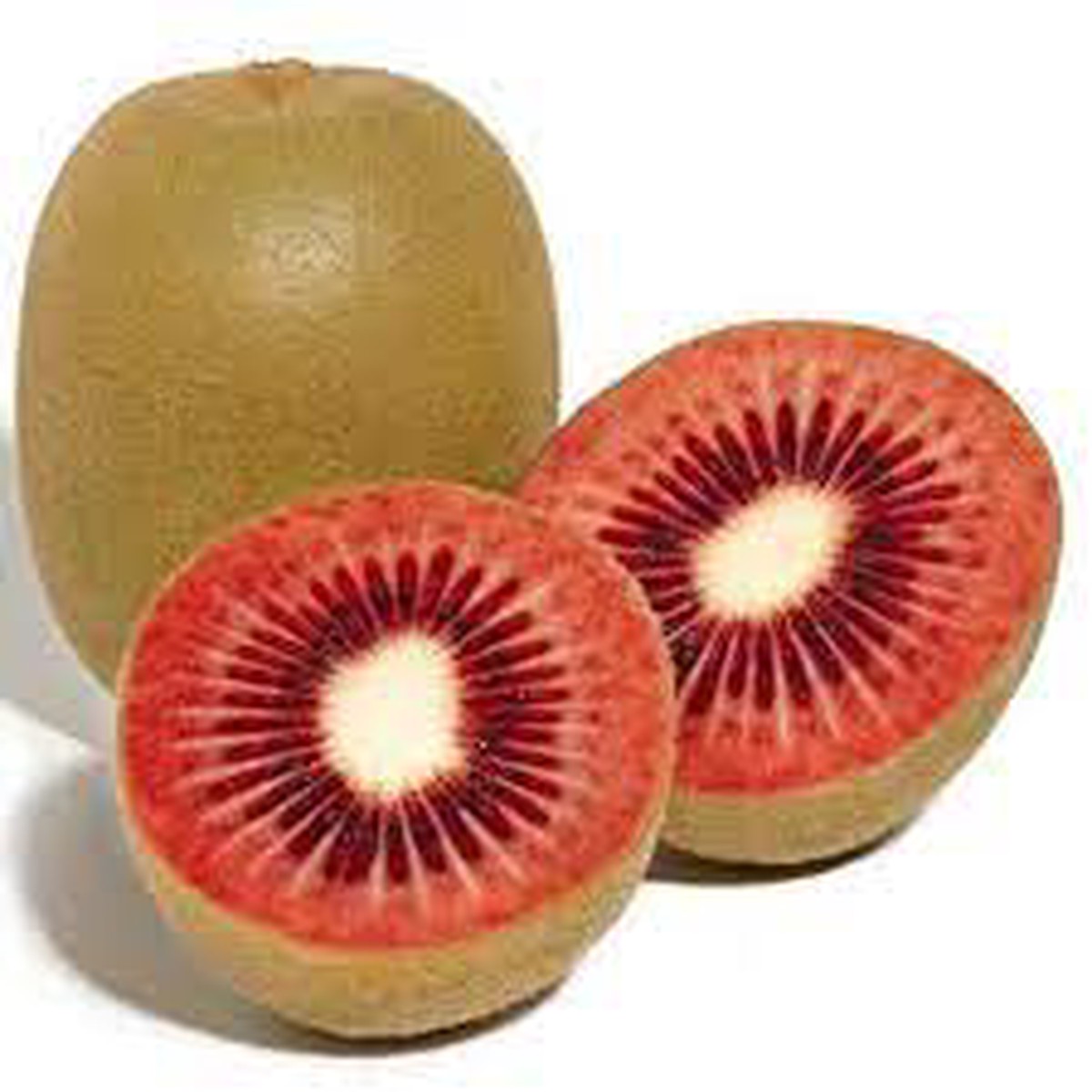 Ruby Red Kiwi Fruit Seeds for Planting  Heirloom Non-GMO High Germination Organic Garden Seeds