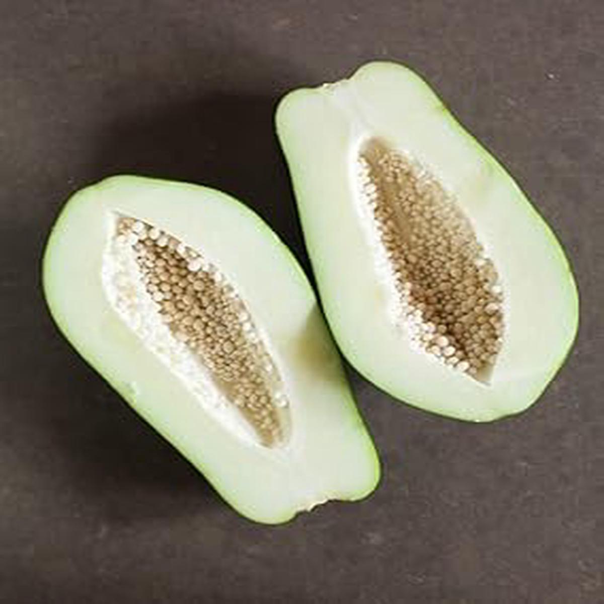 White Papaya Fruit Seeds for Planting  Grow Tropical Trees, Heirloom & Non-GMO Seeds for Home Garden