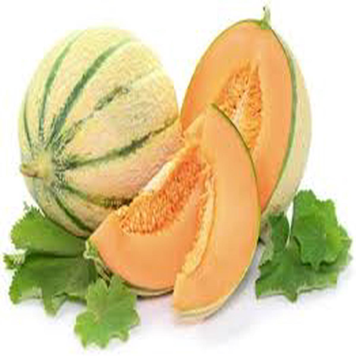 Charentais Muskmelon Fruit Seeds for Planting Excellent for Home Gardens, Heirloom & Non-GMO Seeds
