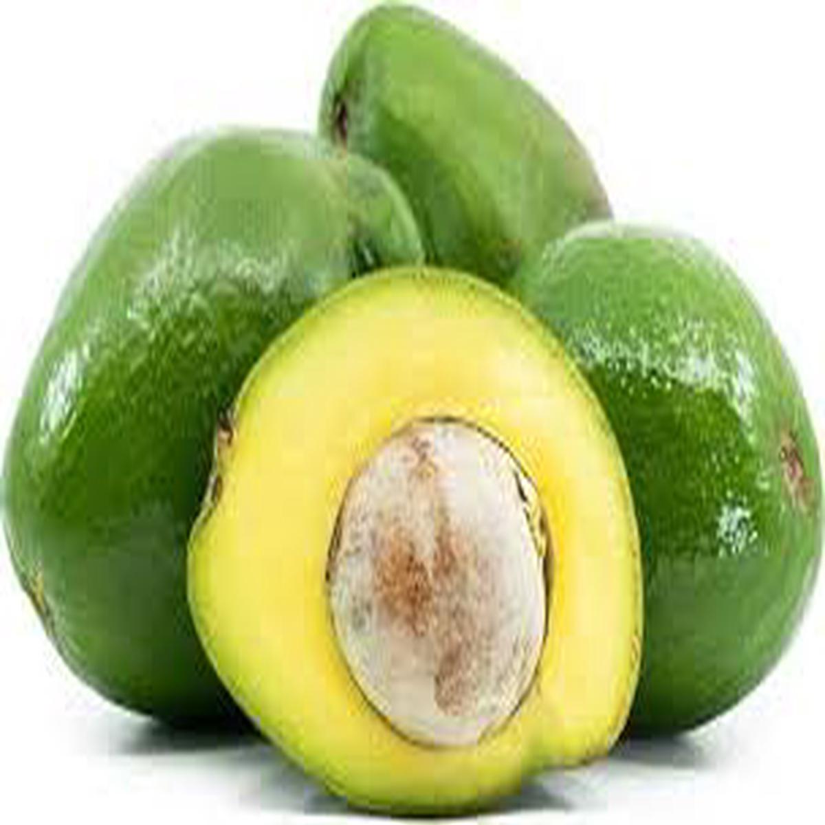 Choquette Avocado Fruit Seeds for Planting  Heirloom Butter Fruit Seeds for Home Garden or Backyard Orchid