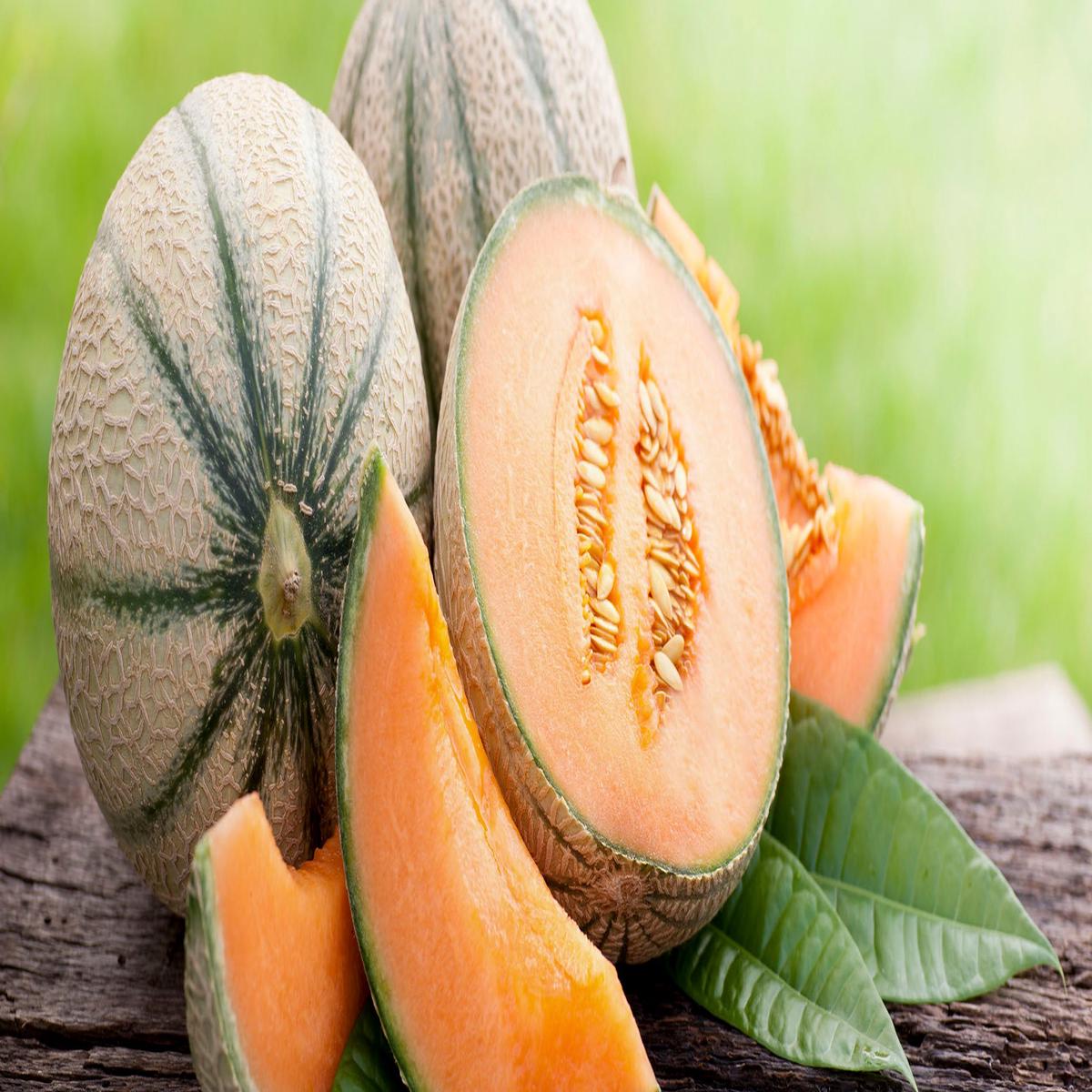 European Cantaloupe Melon Fruit Seeds for Planting Premium Quality, Heirloom, Non-GMO, High Germination Organic Garden Seeds