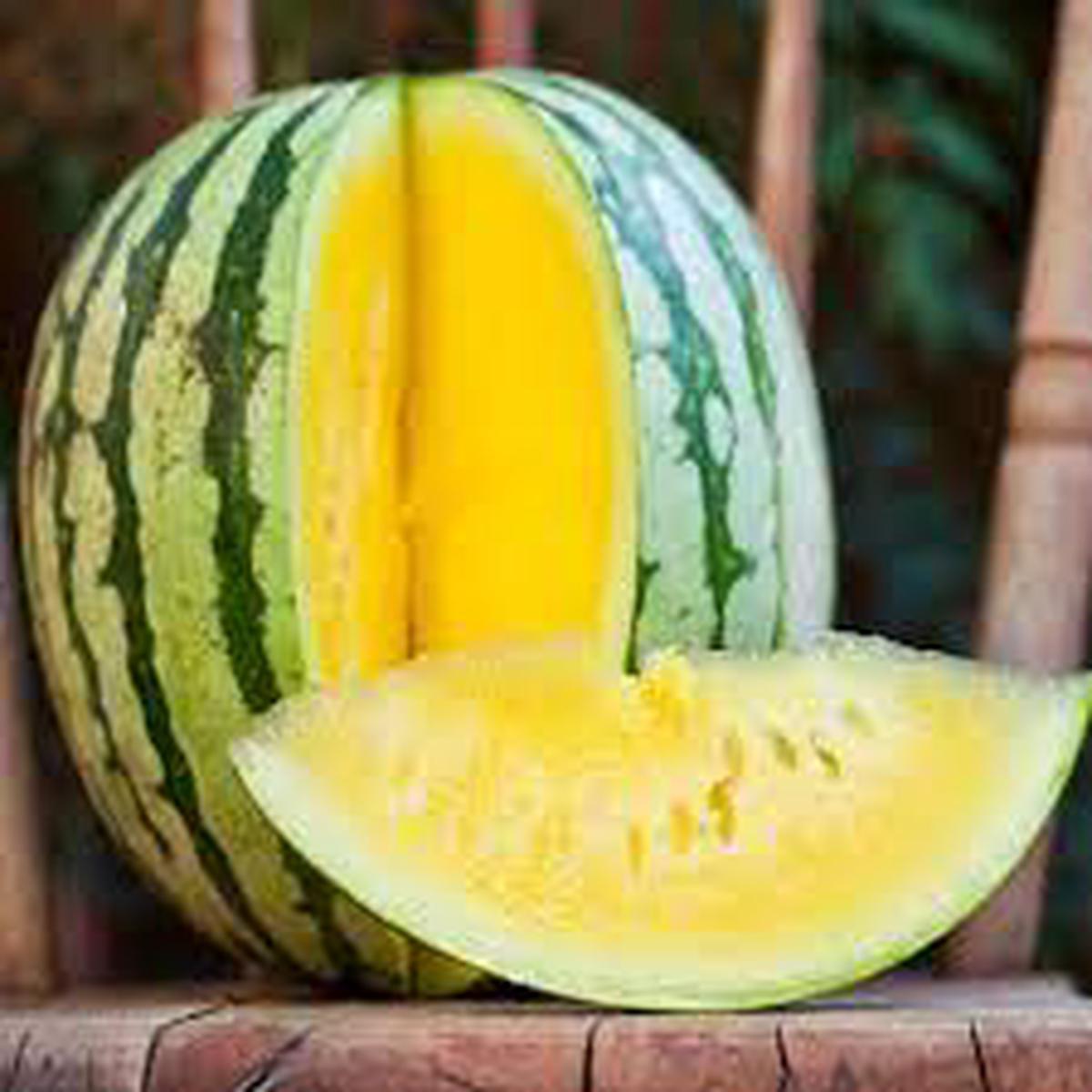 Golden Honey Watermelon Fruit Seeds for Planting  Refreshing, Sweet Watermelons, Heirloom & Non-GMO, High Germination