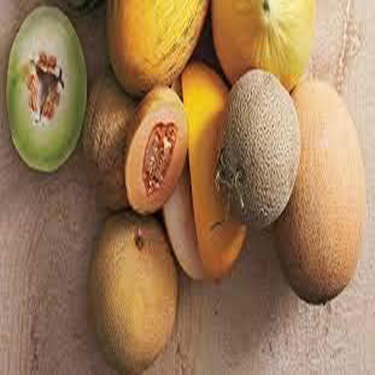 Grey Cantaloupe Fruit Seeds for Planting  Heirloom, Non-GMO Seeds for Sweet & Juicy Garden Melons