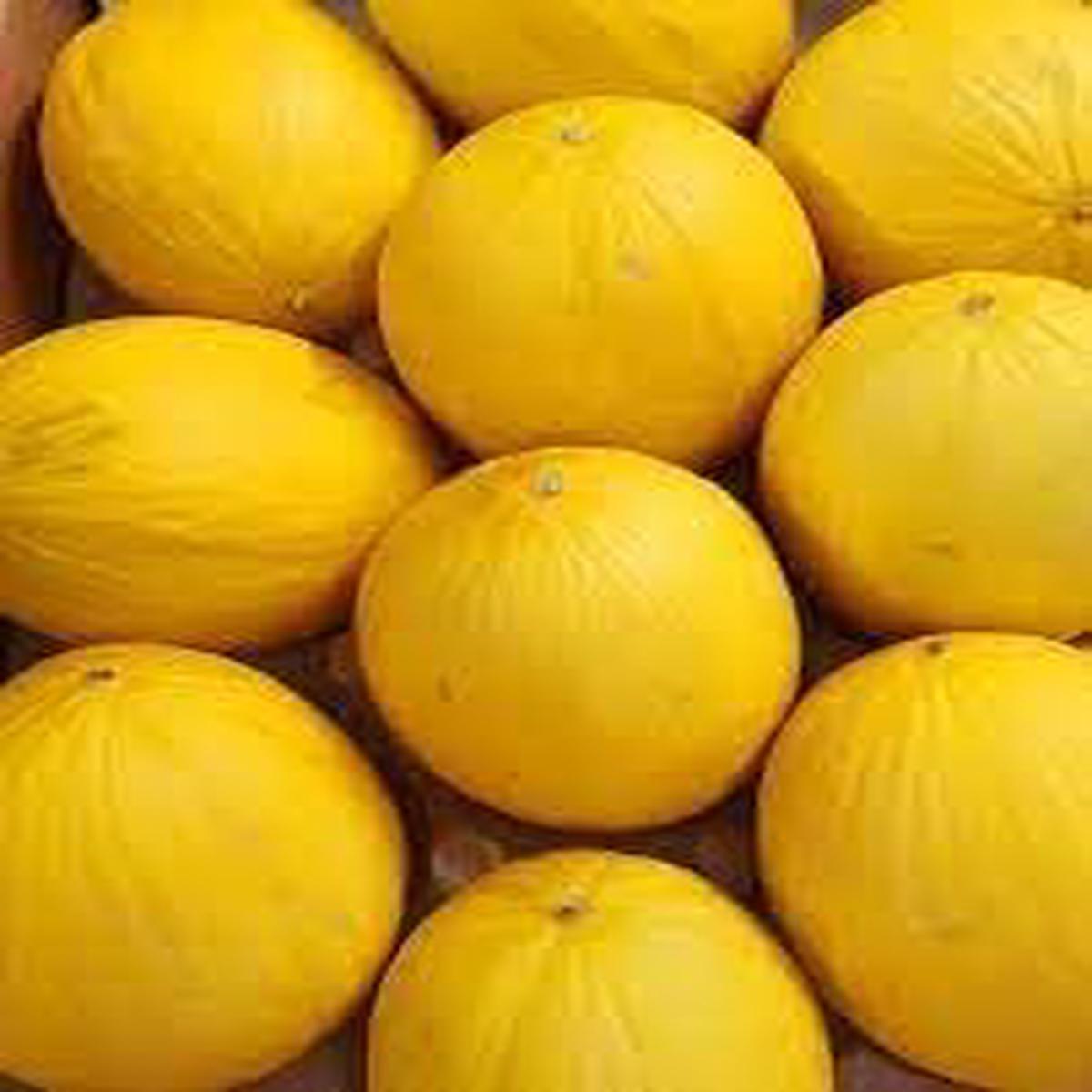 Honey Melon Seeds  Grow Sweet & Refreshing Melons
