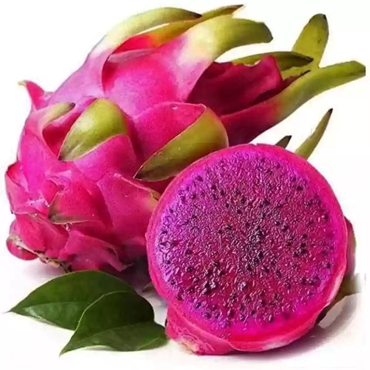 Pitaya Pink Fruit Seeds for Planting Heirloom Non-GMO Organic Garden Seeds with High Germination for Exotic Dragon Fruit