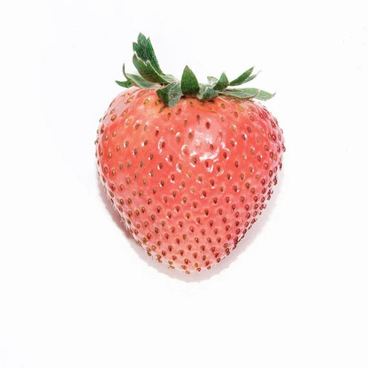 RosyPink Strawberry Fruit Seeds for Planting Sweet, Delicious Strawberries, Heirloom & Non-GMO Seeds for Home Garden