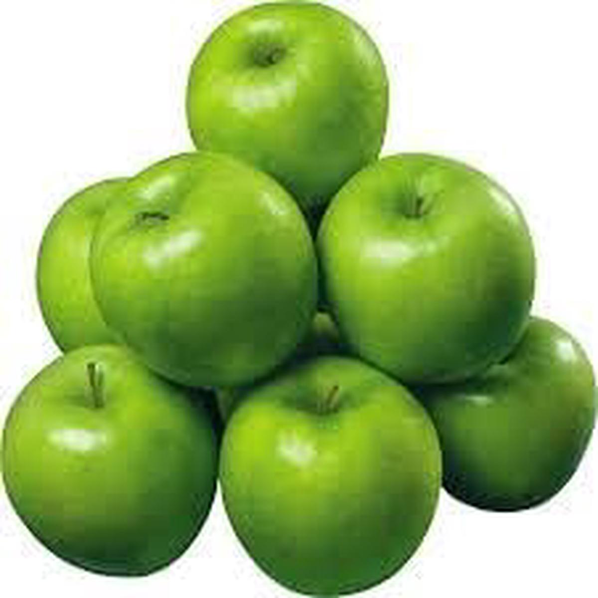 Yellow Crenshaw Melon Seeds for Planting Heirloom Non-GMO Organic Garden Seeds, High Germination, Sweet & Juicy Melons