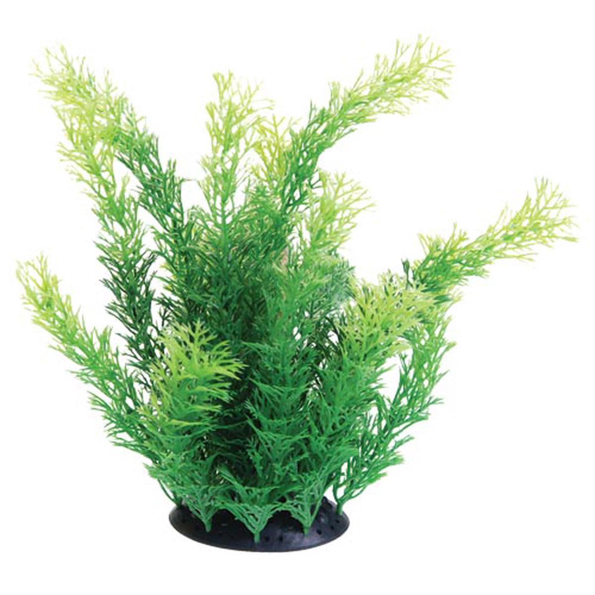Underwater Treasures Cabomba Plant - 10 inch