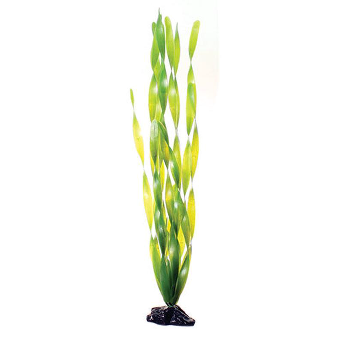 Underwater Treasures Green Jungle Vallisneria Plant