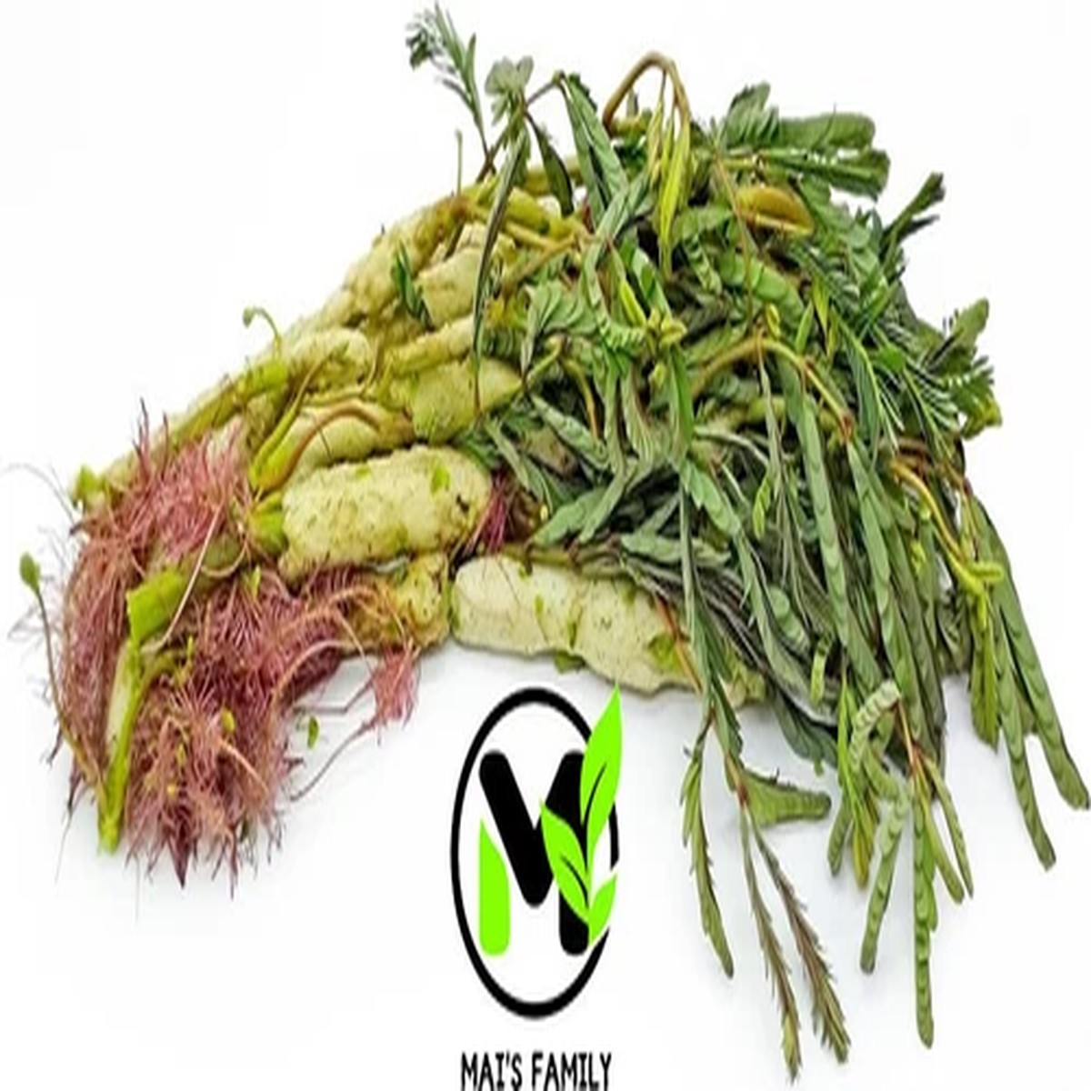 WATER MIMOSA SEEDS, HT RAU NHT (Sensitive Plant), Neptunia oleracea