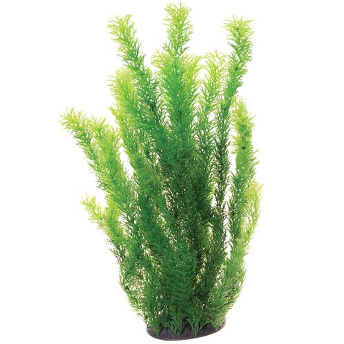 Underwater Treasures Cabomba Plant - 20 inch