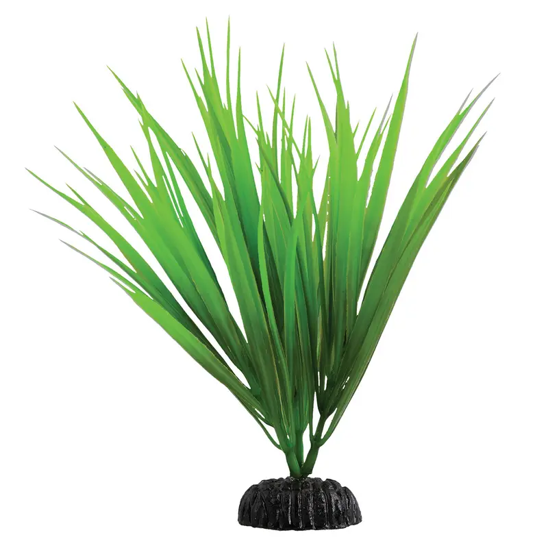 Underwater Treasures Green Nile Grass Plant