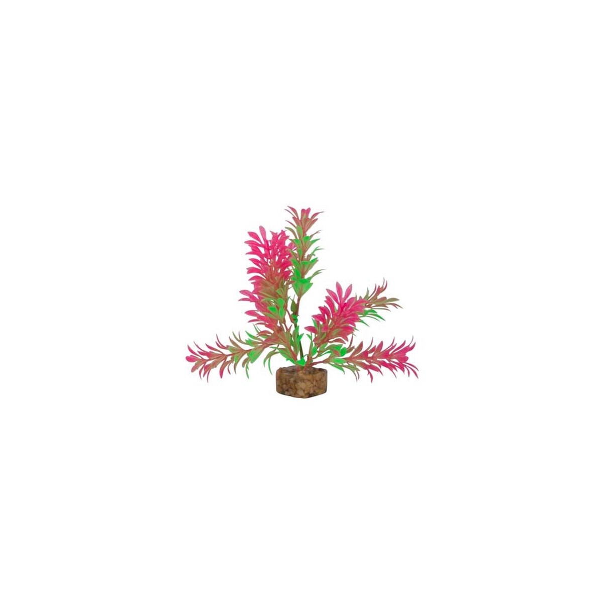 Tetra GloFish Plant Green/Pink