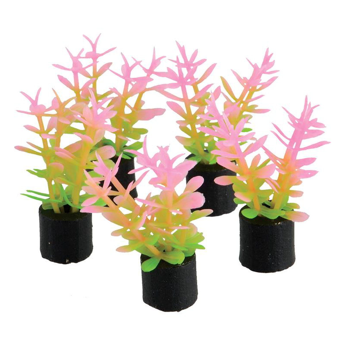 Underwater Treasures Mini Plant Pink and Green 158221 5 pack