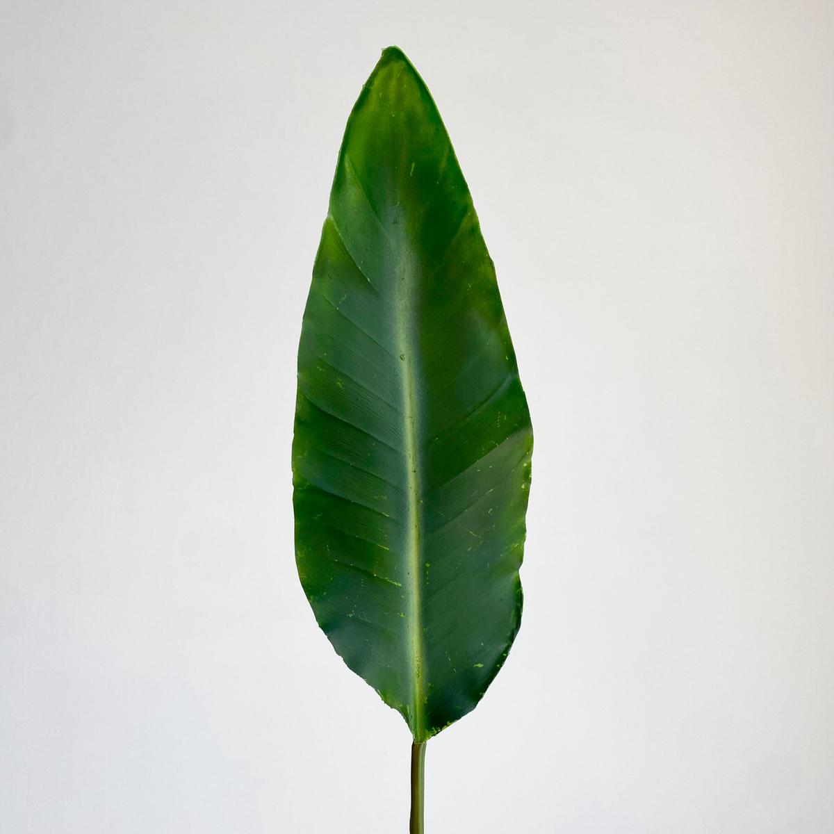 Strelitzia Faux Leaf