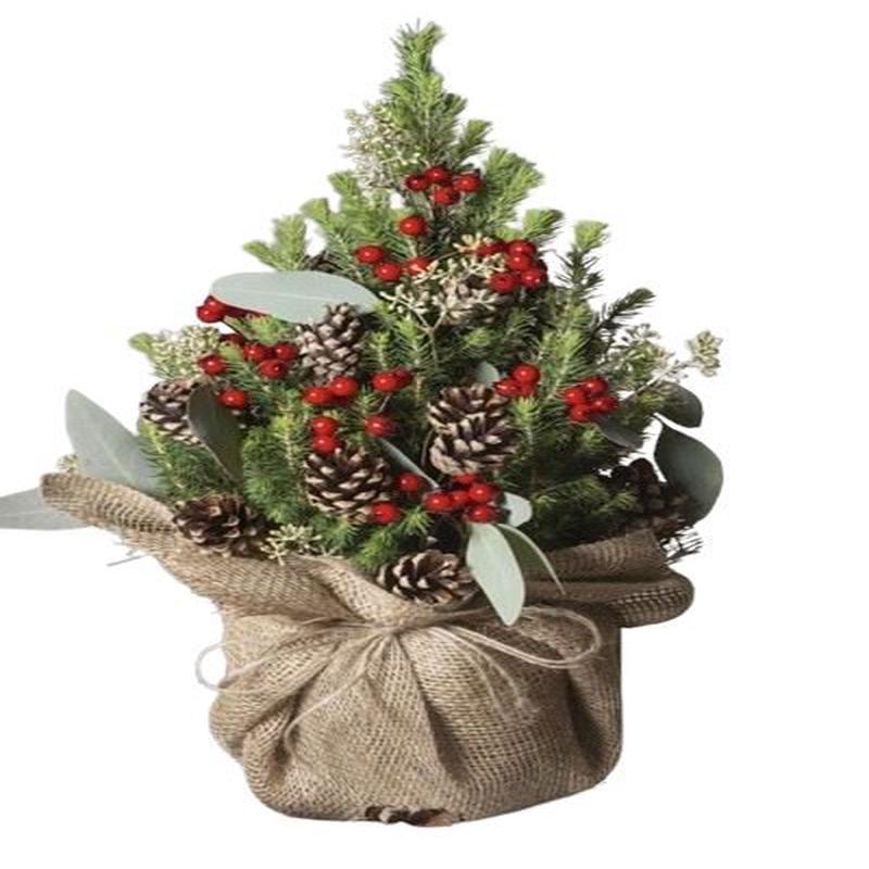 A Festively Decorated Picea Glauca Christmas Tree in a  Rustic Style