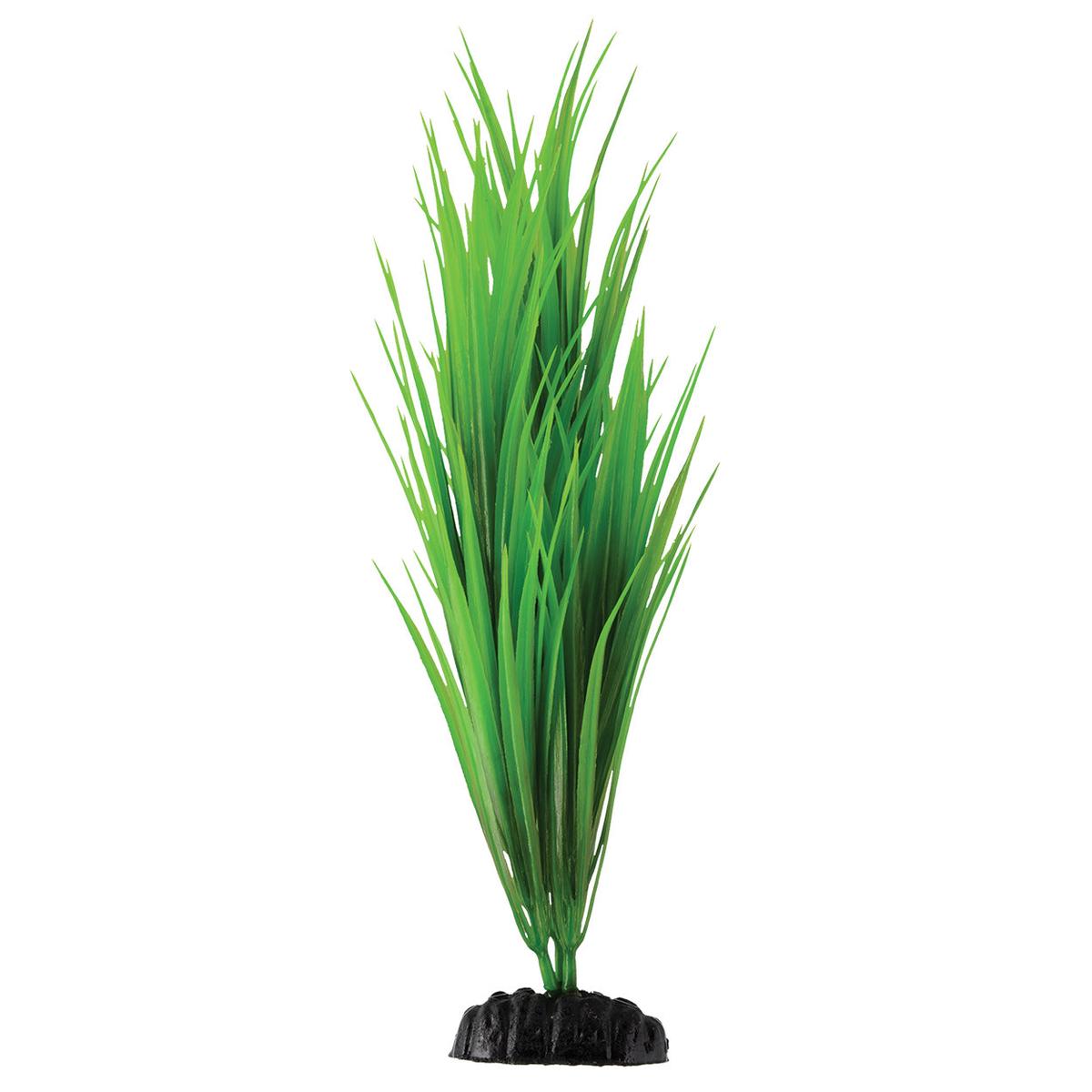 Underwater Treasures Green Nile Grass Plant - 12 inch