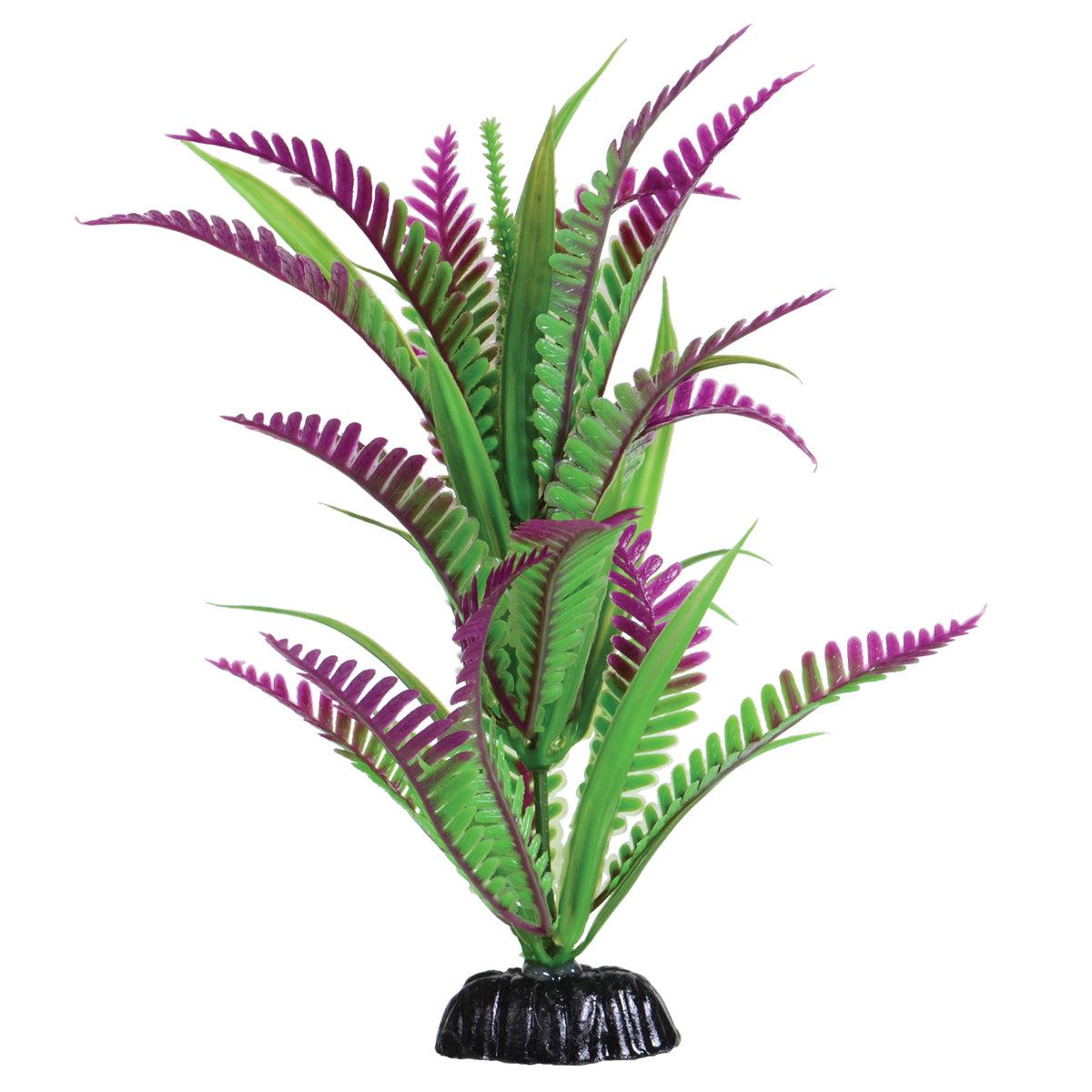 Underwater Treasures Lonely Heart Fern Plant - 8 inch
