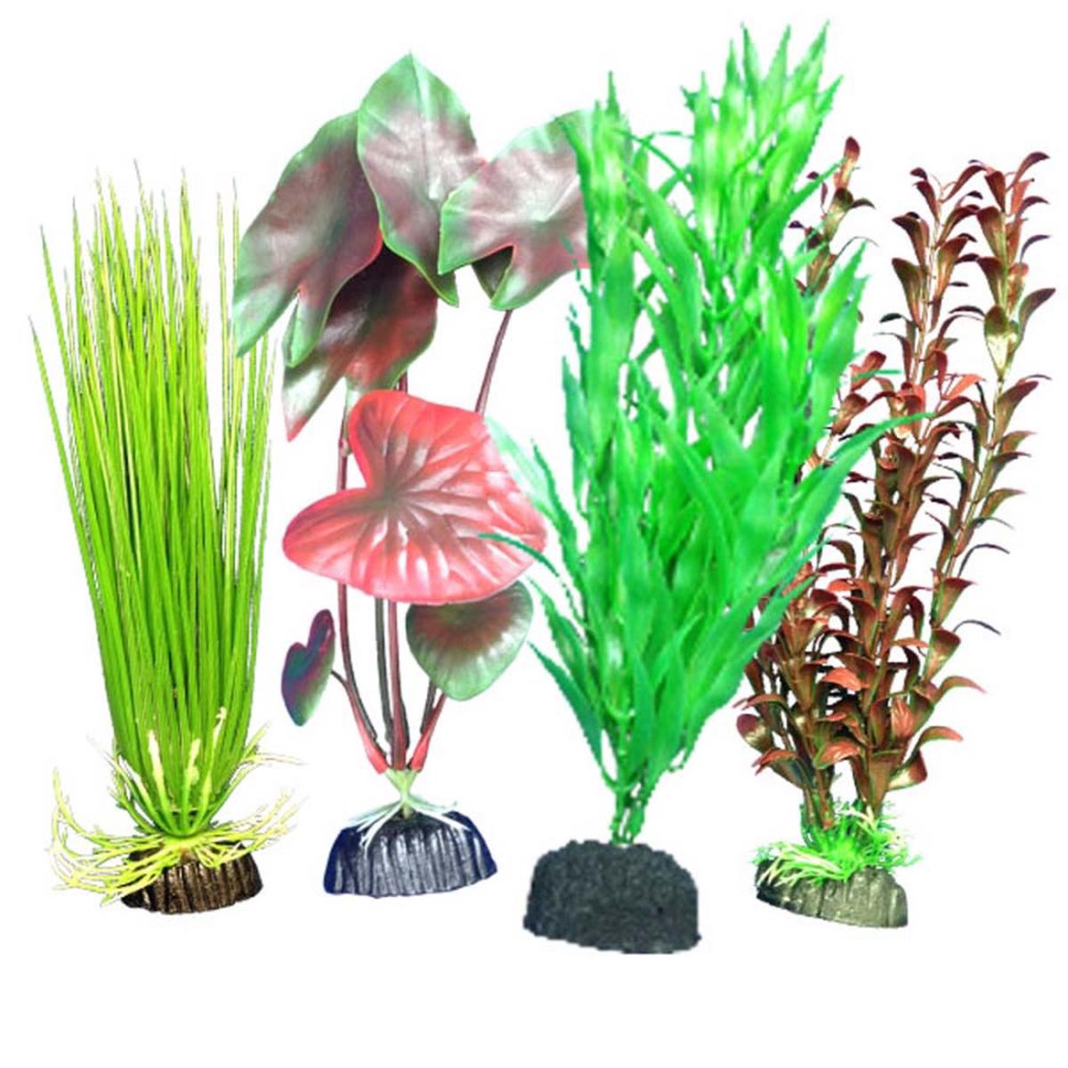 Weco Freshwater Aquarium Plant 101 Multipack