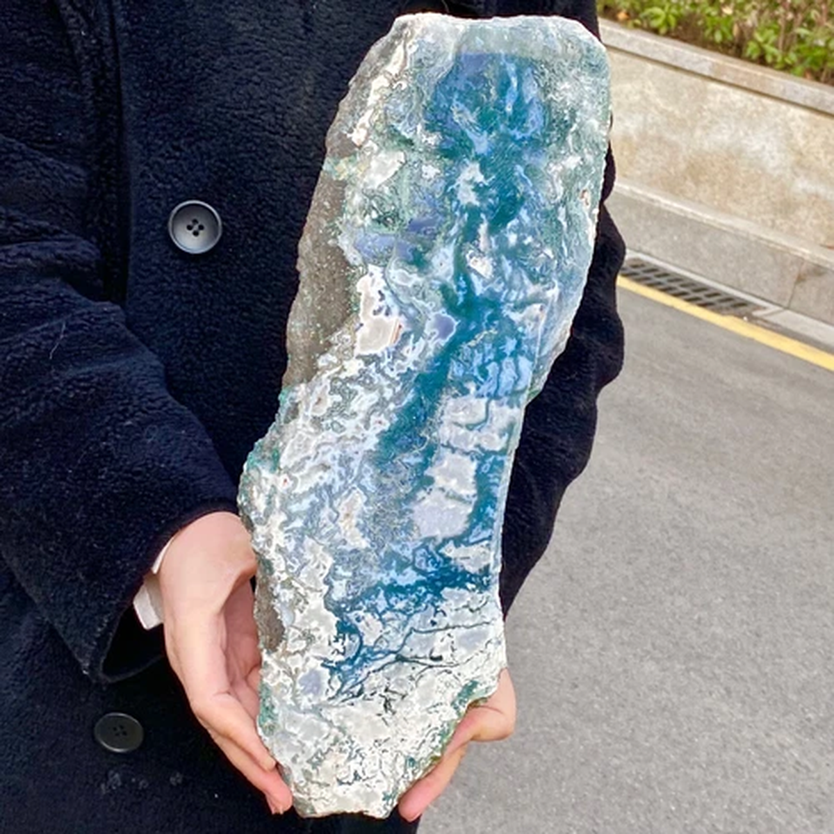 4.8LB Natural rare Aquatic Plants Agate Slices-Crystal Healing