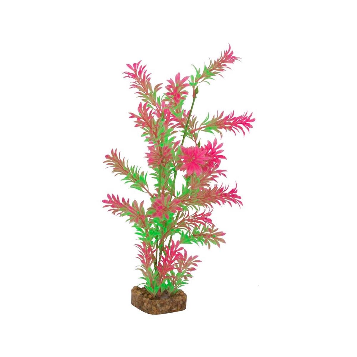 Tetra GloFish Plant Green/Pink - Large