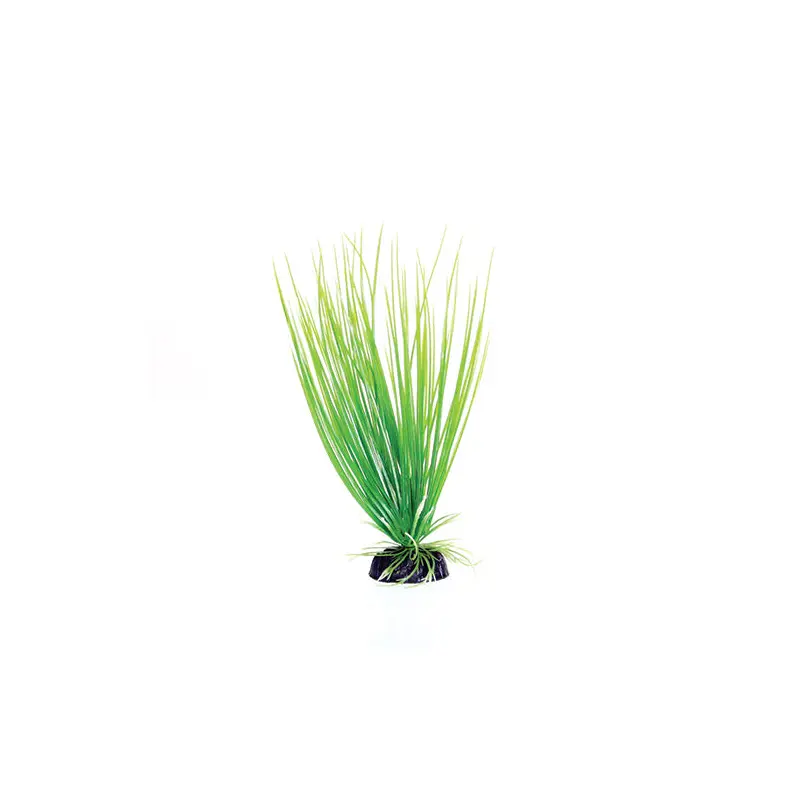 Underwater Treasures Green Hairgrass Plant
