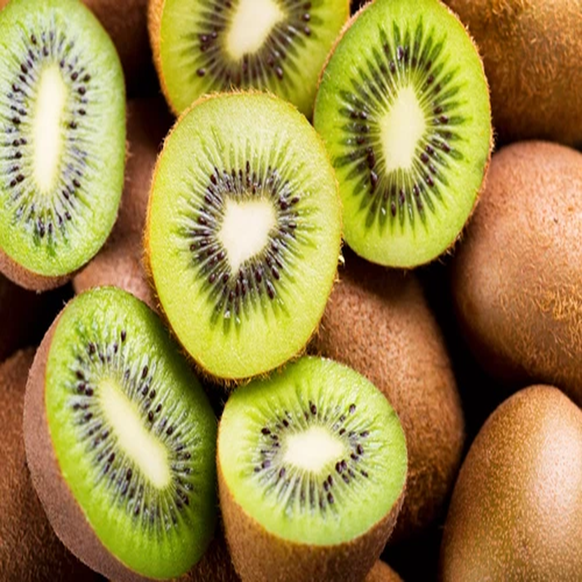 100 KIWI FRUIT Kiwi Actinidia Vine Seeds (Kiwifruit / Hardy Kiwi / Tara Vine / Y