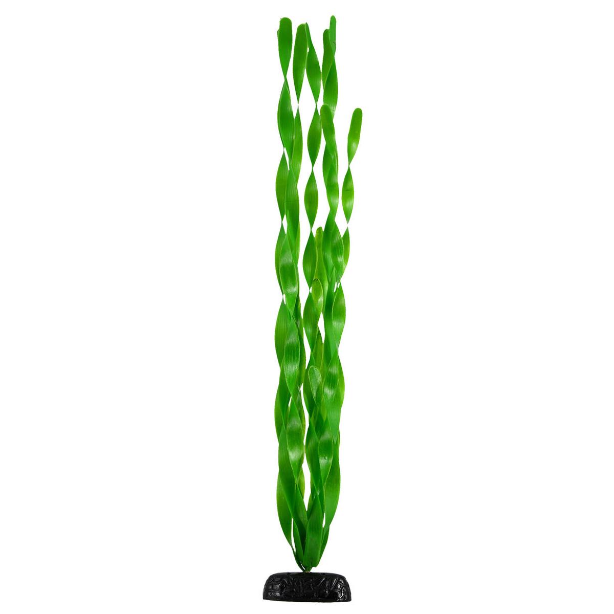 Underwater Treasures Green Jungle Vallisneria Plant - 24 inch