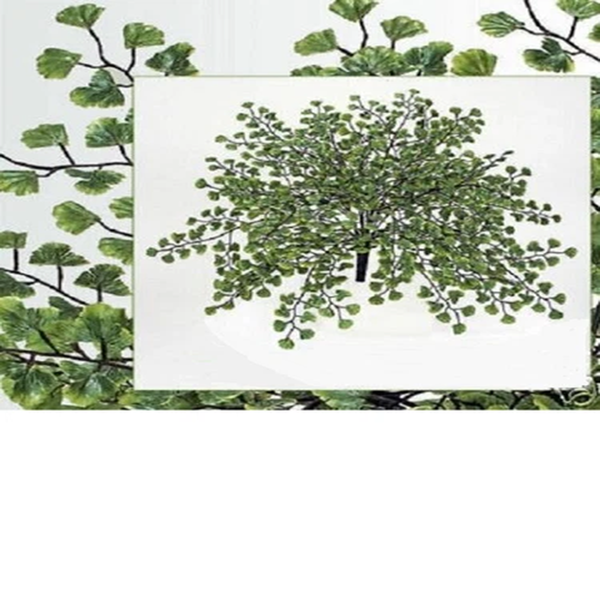 24" Maiden Hair Fern Artificial Silk Plant Dcor (Pack of 6) 840GRTT