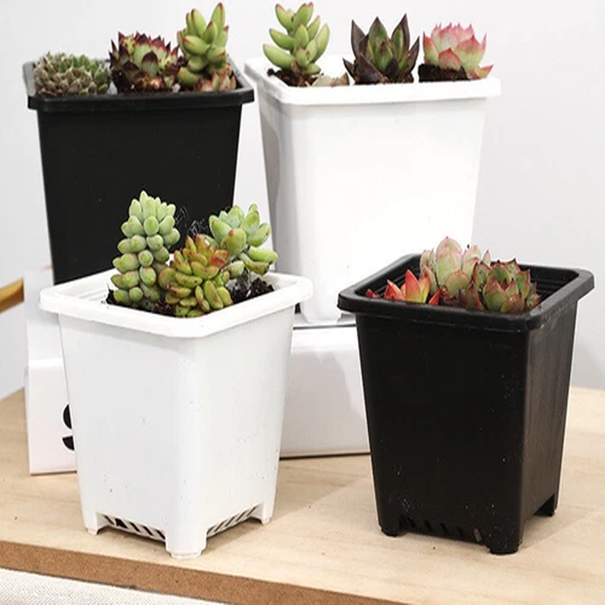 UP TO 100PCS PLANT FLOWER SQUARE POTS THICKENED NURSERY SEEDLING CONTAINER 032