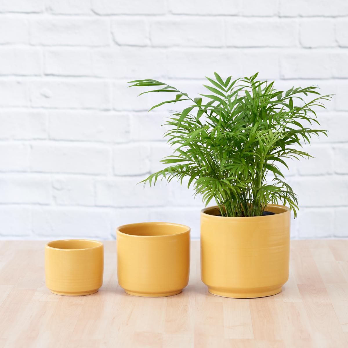 Migo Planter - Mustard Yellow