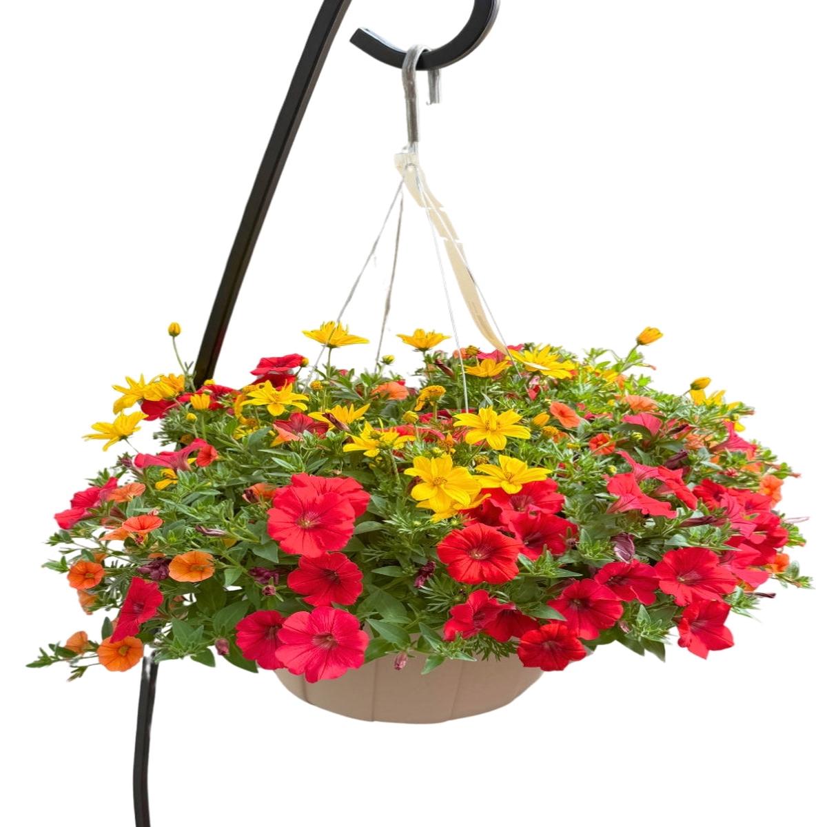 Mixed Basket Sunset Dream