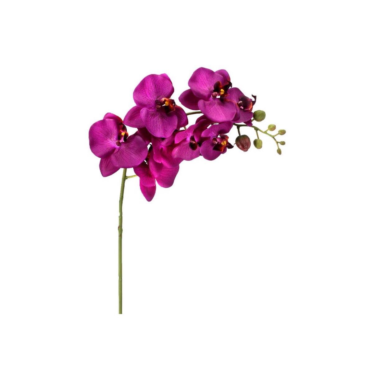 Natural Touch Orchid 34" Violet Everlasting