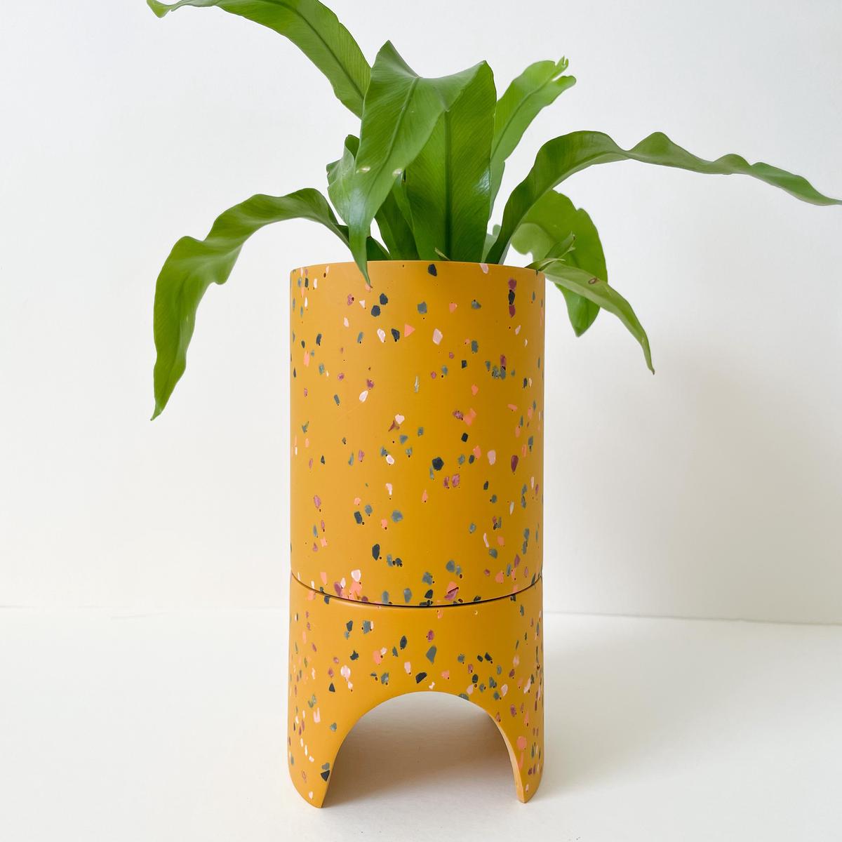 Capra Designs Archie Pot - Golden Terrazzo