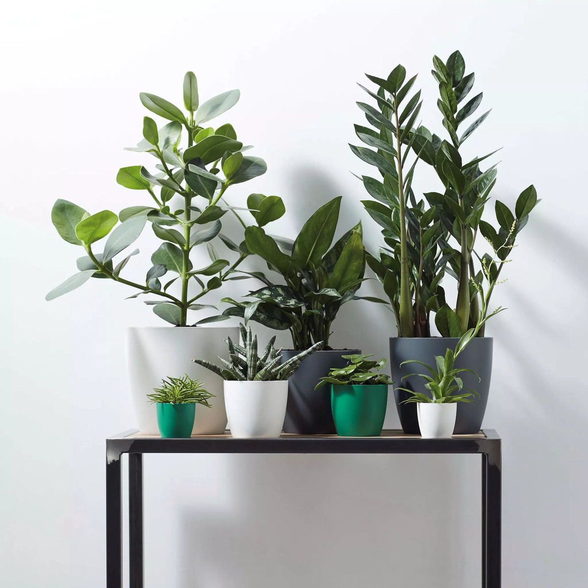 Brussels Round Plant Pot 25cm