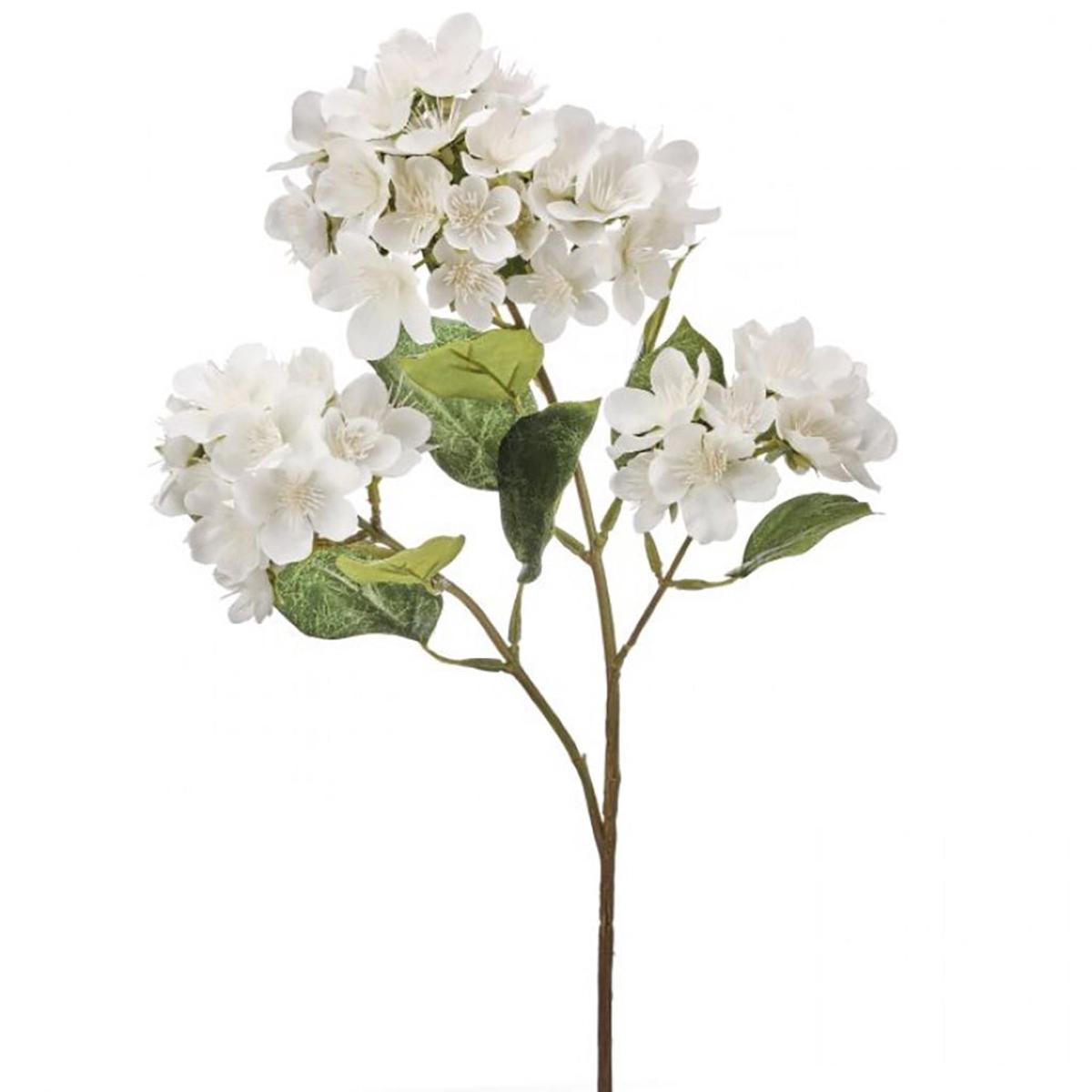 Triple Spring Blossom Spray Cream Everlasting
