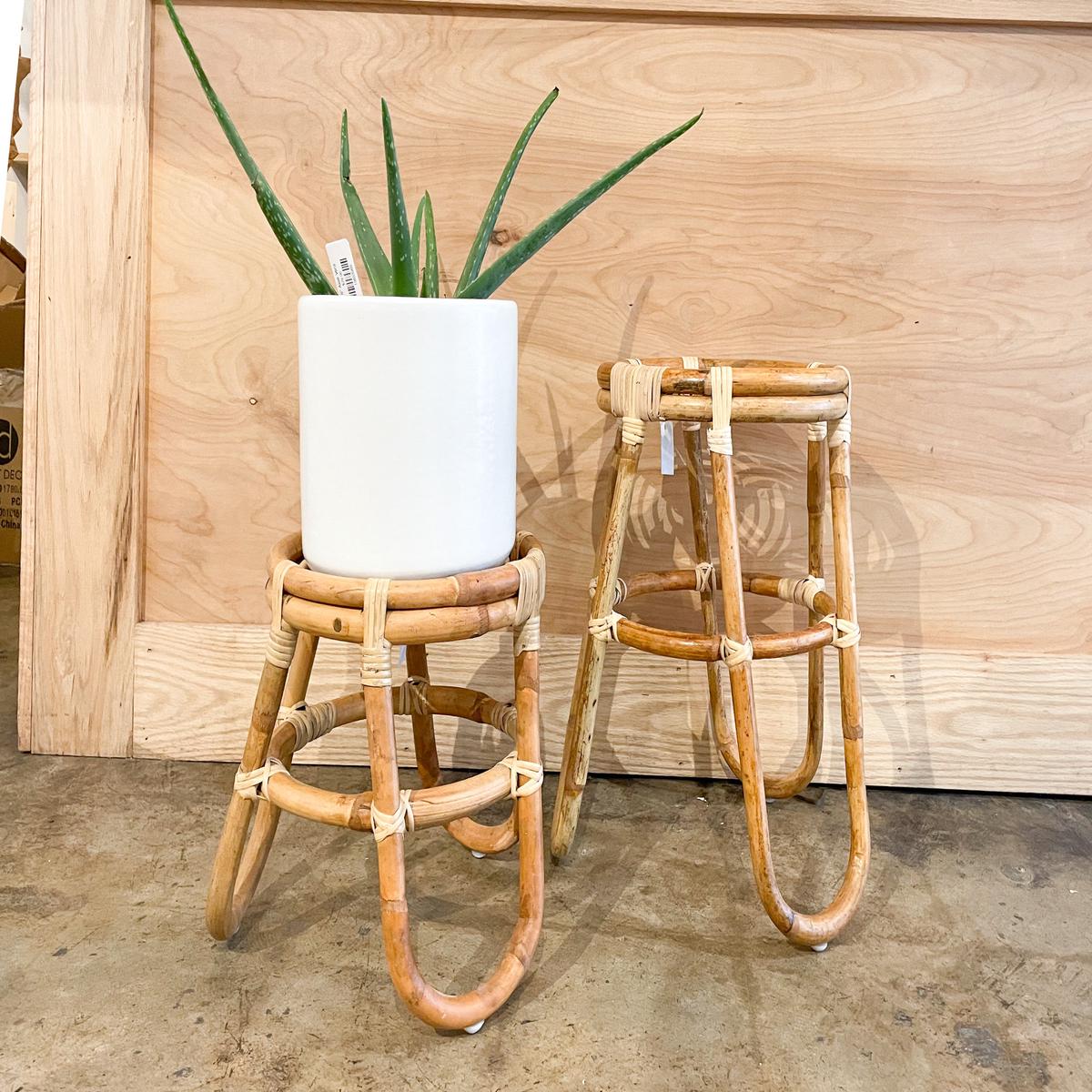 Barefoot Plant Stand