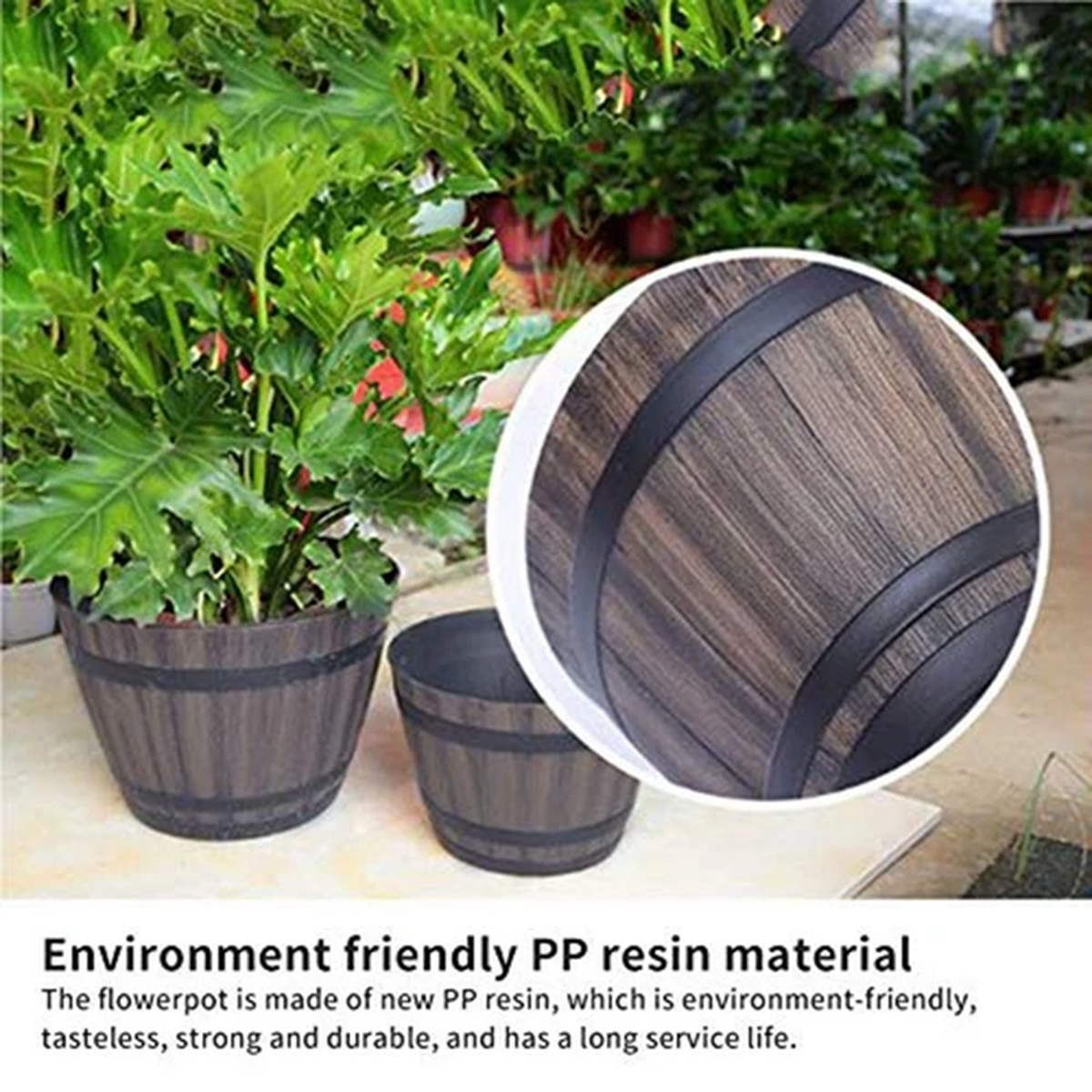 Contemporary Design Succulent Flowerpot for Home and Garden Beautification