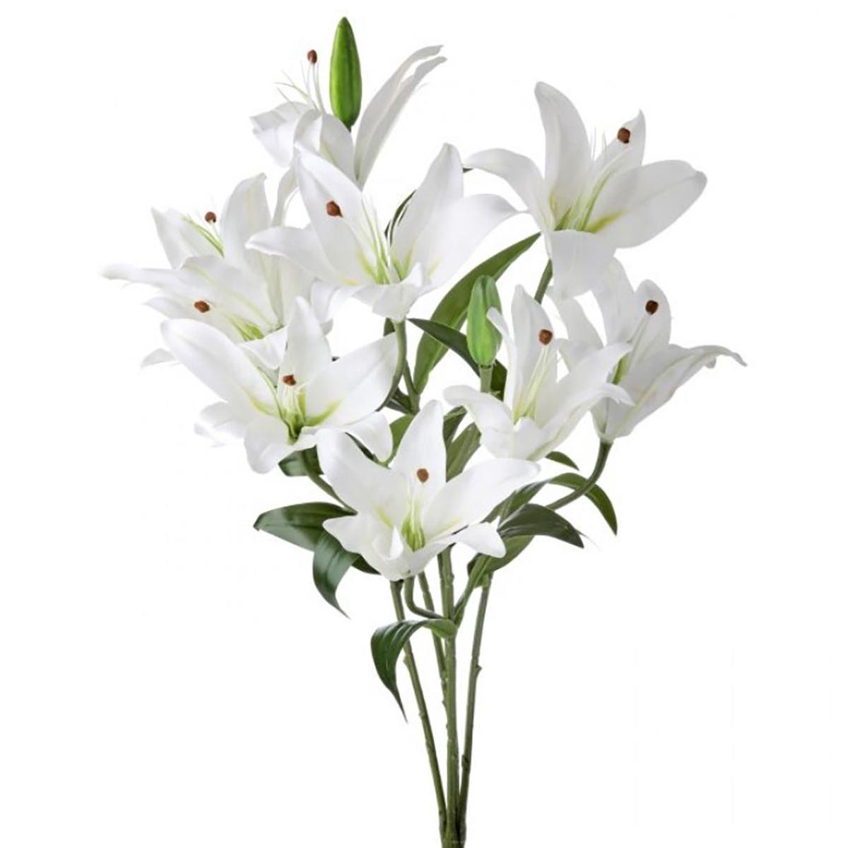 Natural Touch Rubrum Lily Plant White Everlasting
