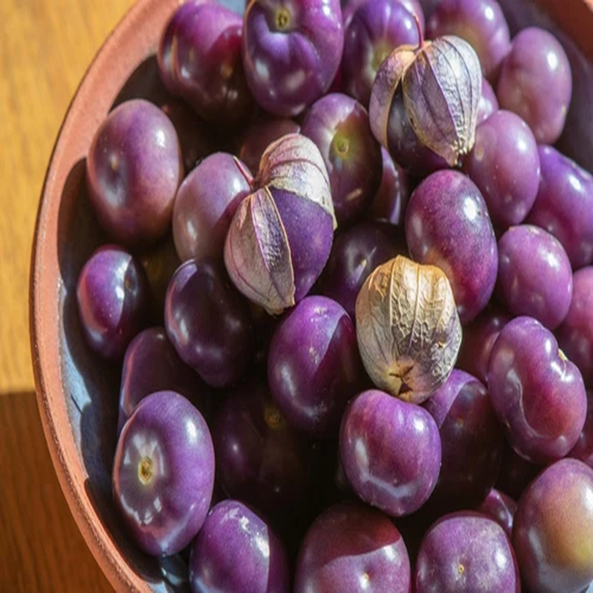 50 PURPLE TOMATILLO Physalis Ixoxcarpa Vegetable Seeds *Flat S/H