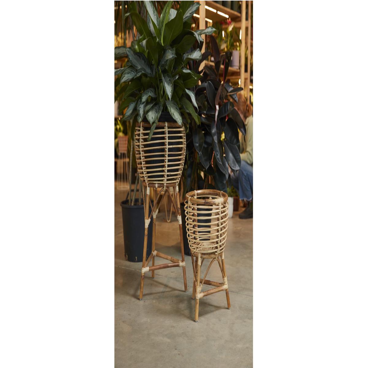 Clancy Bamboo Stand