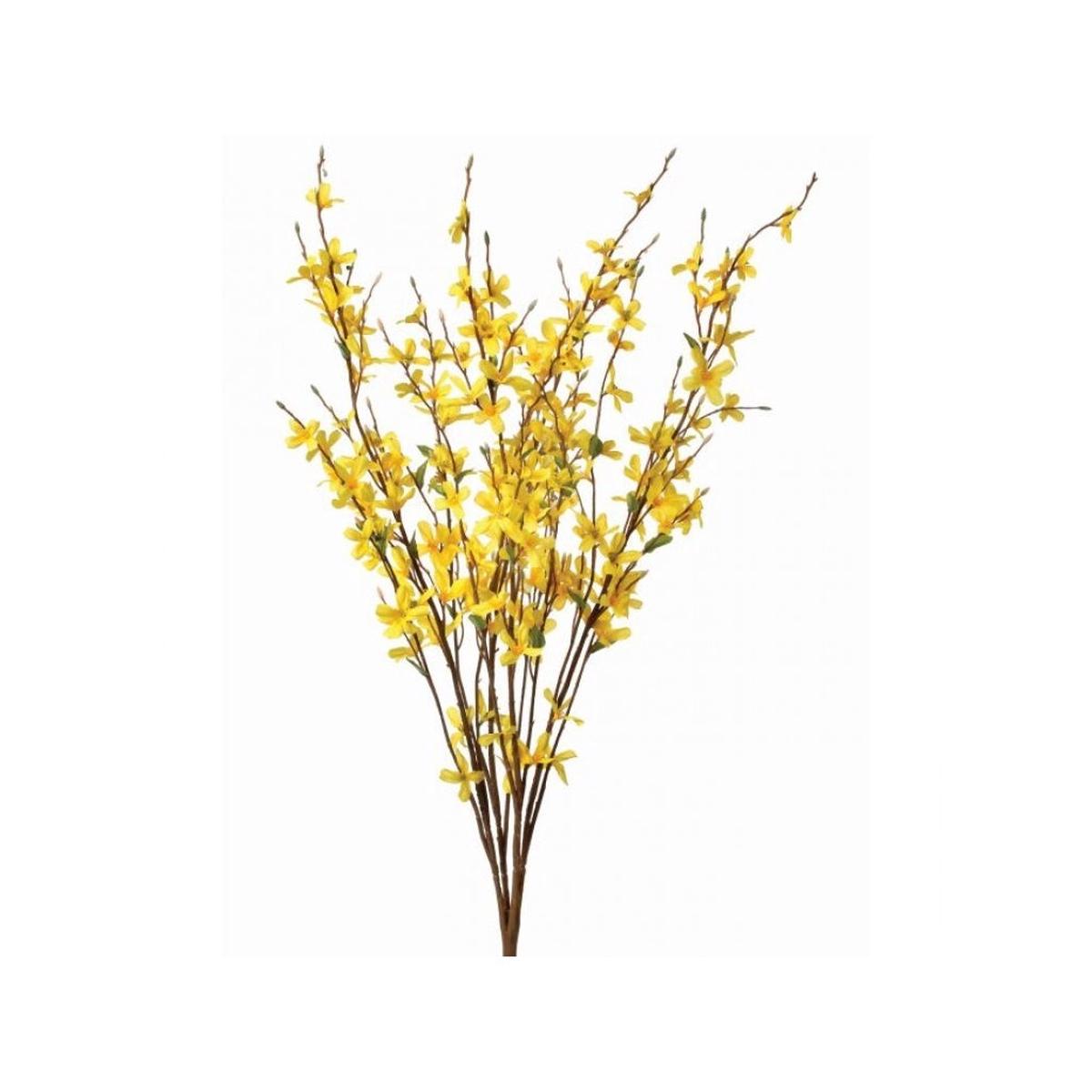 Forsythia Bush 30" Yellow Everlasting