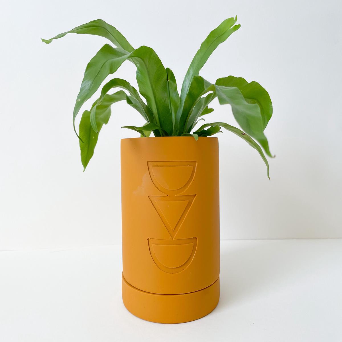 Golden Etch Pot