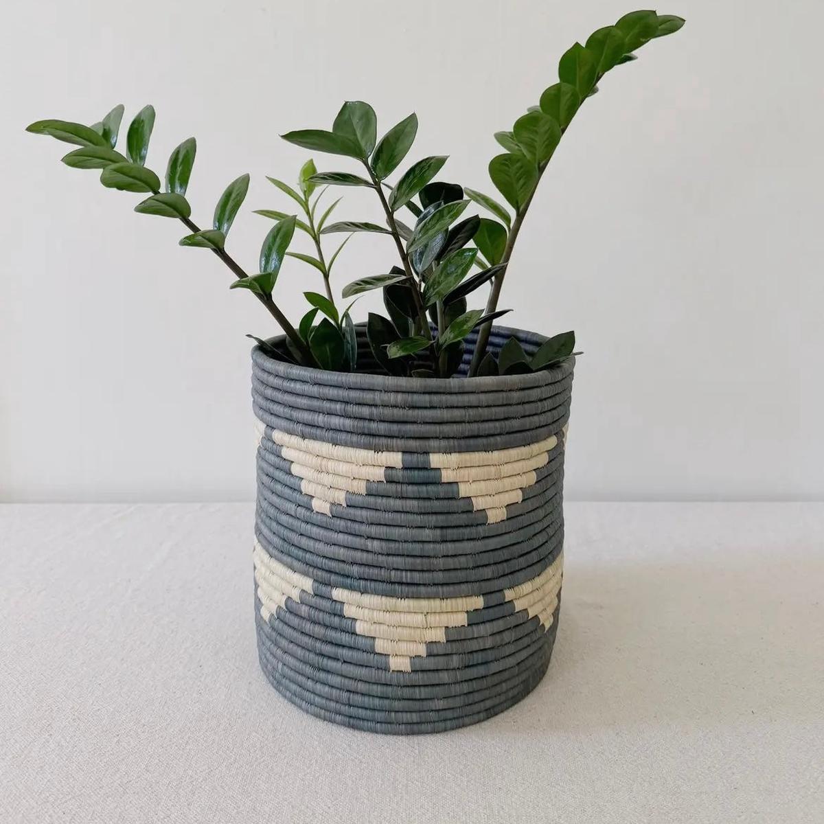 Storage Plant Basket: Gako