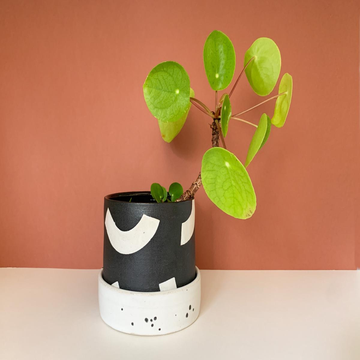 Black & White Squiggle Planter
