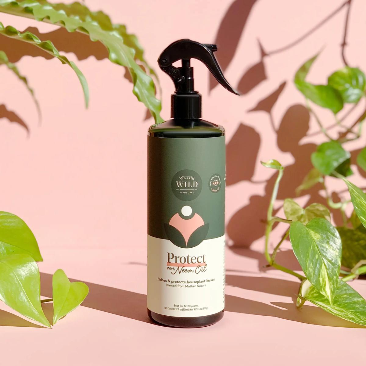 Protect Spray